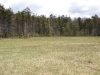 Small wetland northeast of Sunshine Pond